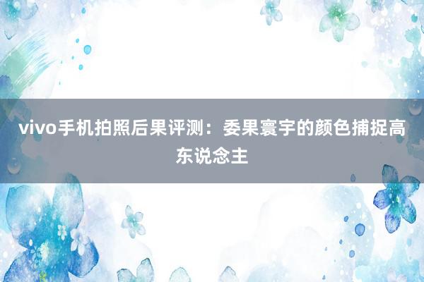 vivo手机拍照后果评测：委果寰宇的颜色捕捉高东说念主